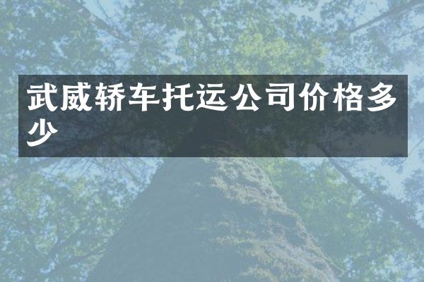 武威轿车托运公司价格多少