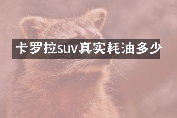 卡罗拉suv真实耗油多少