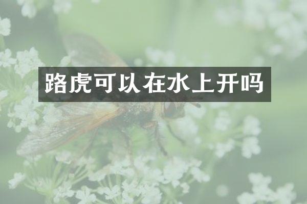 路虎可以在水上开吗