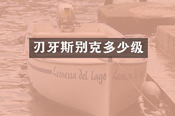刃牙斯别克多少级