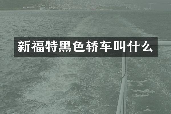 新福特黑色轿车叫什么