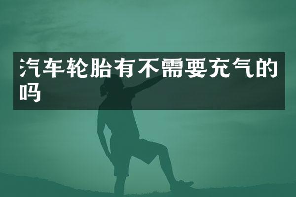 汽车轮胎有不需要充气的吗