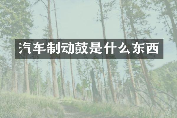 汽车制动鼓是什么东西