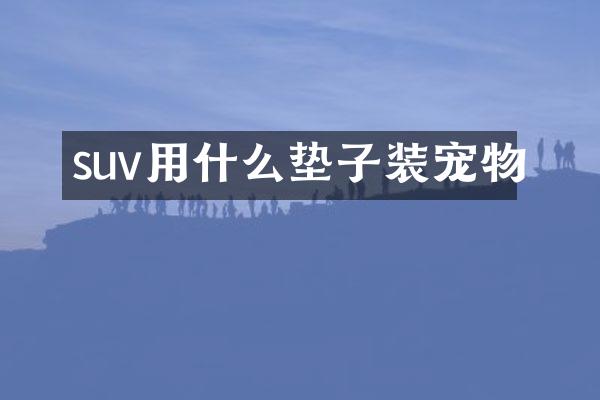 suv用什么垫子装宠物