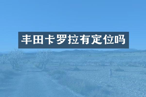 丰田卡罗拉有定位吗
