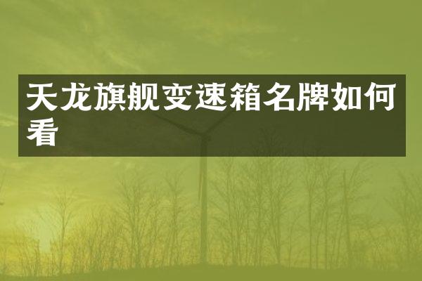 天龙旗舰变速箱名牌如何看