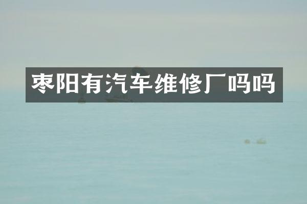 枣阳有汽车维修厂吗吗