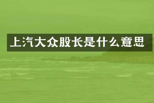 上汽大众股长是什么意思