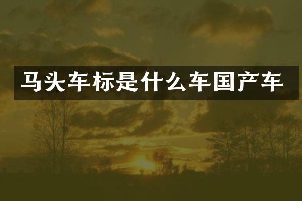 马头车标是什么车国产车