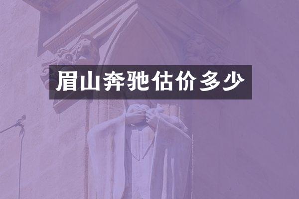 眉山奔驰估价多少