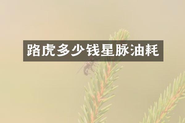 路虎多少钱星脉油耗
