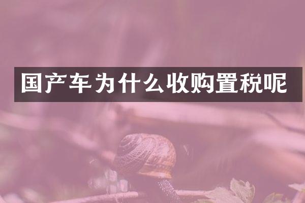 国产车为什么收购置税呢