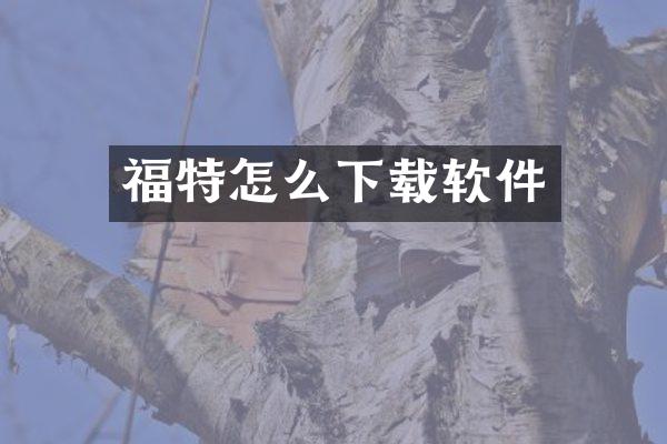 福特怎么下载软件