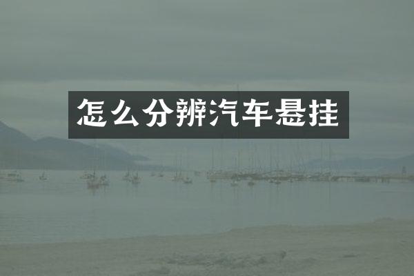 怎么分辨汽车悬挂