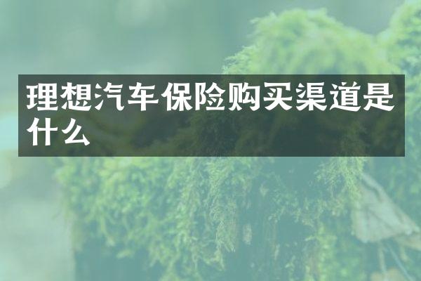 理想汽车保险购买渠道是什么