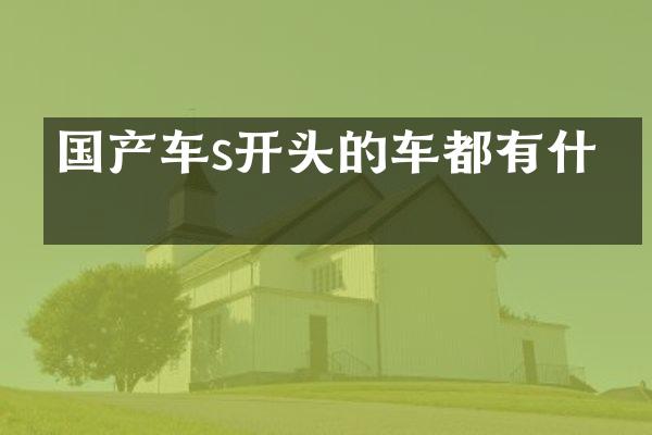 国产车s开头的车都有什么