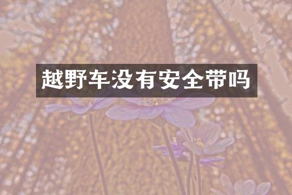 越野车没有安全带吗