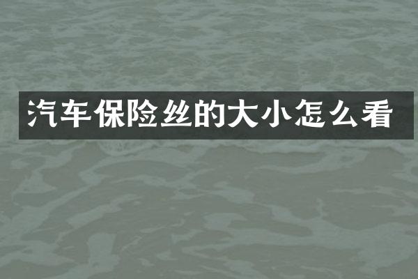 汽车保险丝的大小怎么看