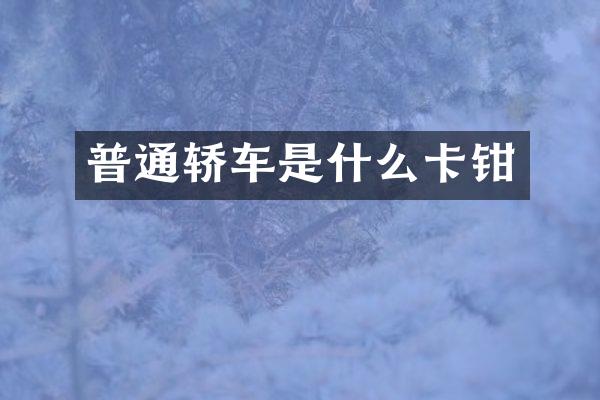 普通轿车是什么卡钳