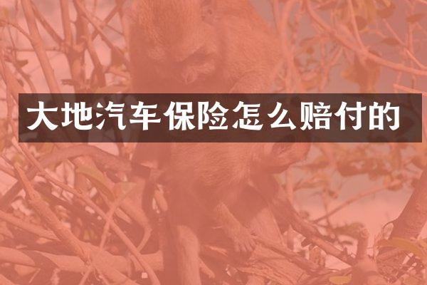 大地汽车保险怎么赔付的