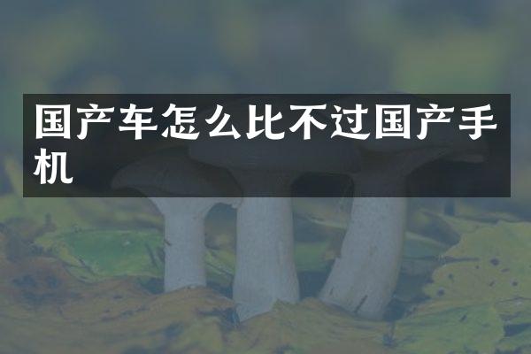 国产车怎么比不过国产手机