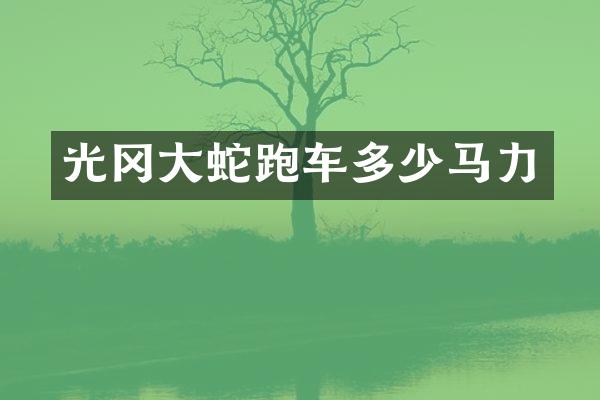 光冈大蛇跑车多少马力