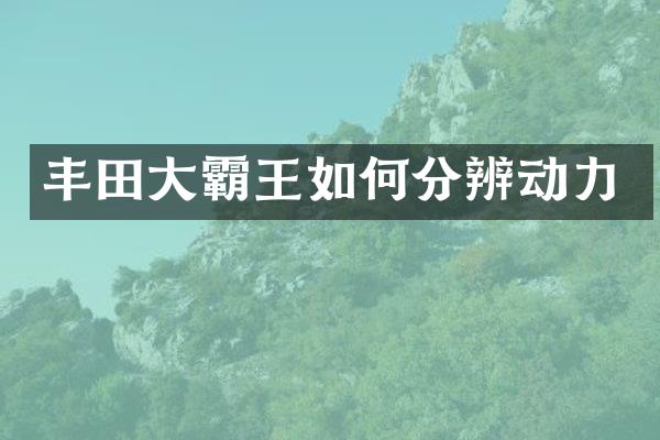 丰田大霸王如何分辨动力
