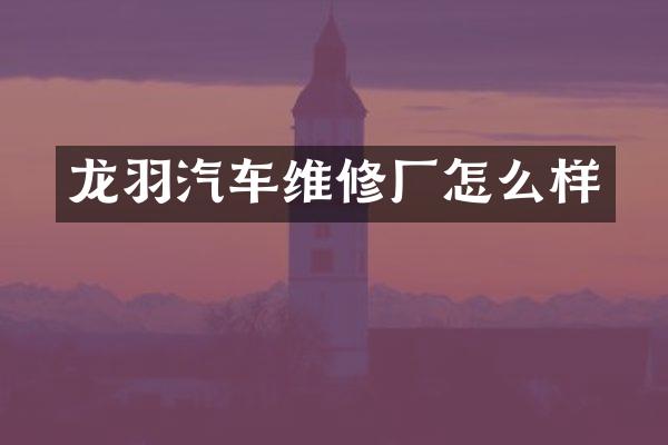 龙羽汽车维修厂怎么样
