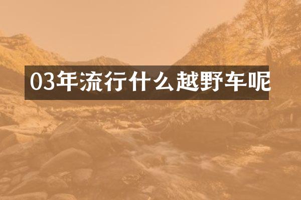 03年流行什么越野车呢