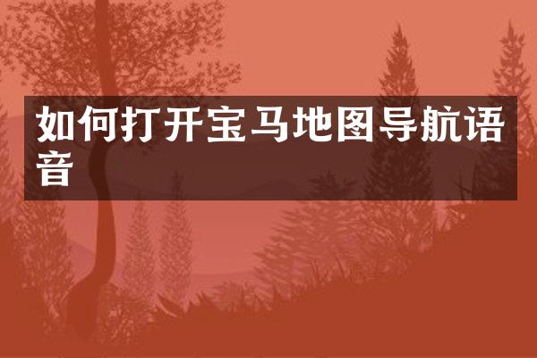 如何打开宝马地图导航语音