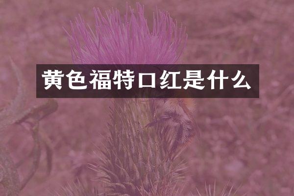黄色福特口红是什么