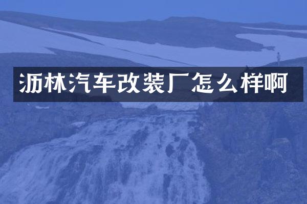 沥林汽车改装厂怎么样啊