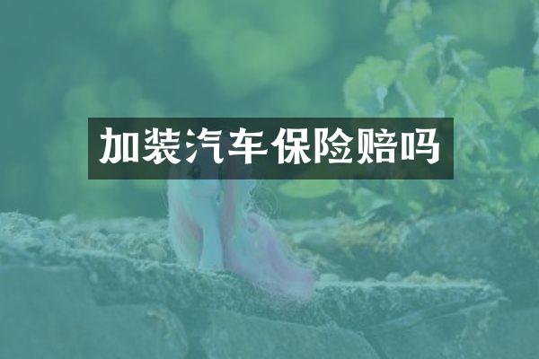 加装汽车保险赔吗