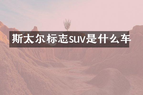 斯太尔标志suv是什么车
