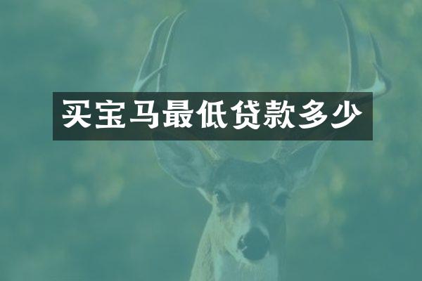 买宝马最低贷款多少