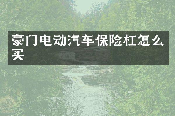 豪门电动汽车保险杠怎么买