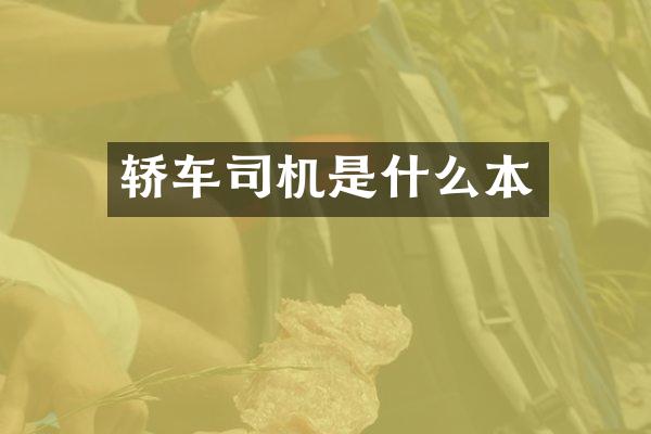 轿车司机是什么本