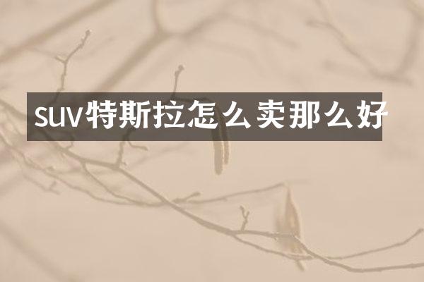 suv特斯拉怎么卖那么好