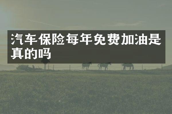 汽车保险每年免费加油是真的吗