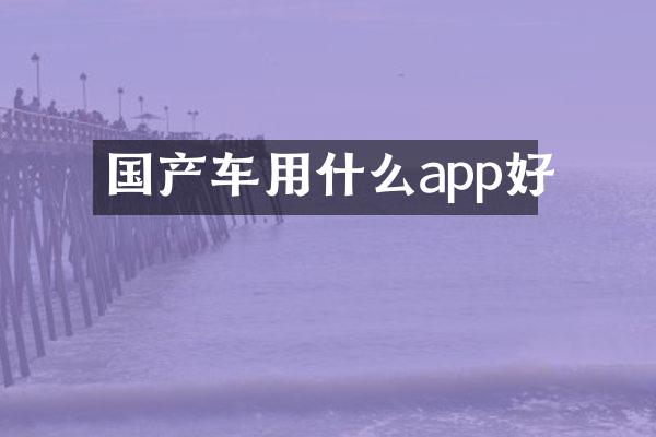 国产车用什么app好