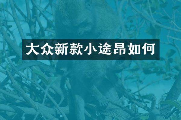 大众新款小途昂如何