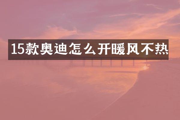 15款奥迪怎么开暖风不热