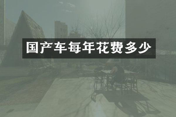 国产车每年花费多少