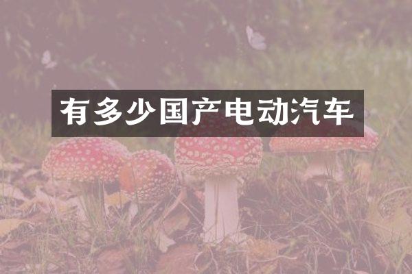 有多少国产电动汽车
