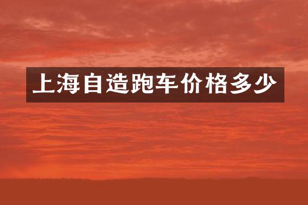 上海自造跑车价格多少
