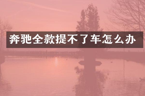 奔驰全款提不了车怎么办