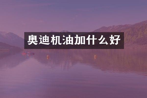 奥迪机油加什么好