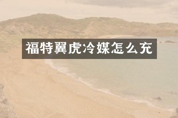 福特翼虎冷媒怎么充