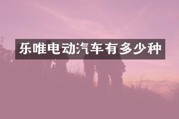乐唯电动汽车有多少种