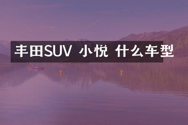 丰田SUV 小悦 什么车型